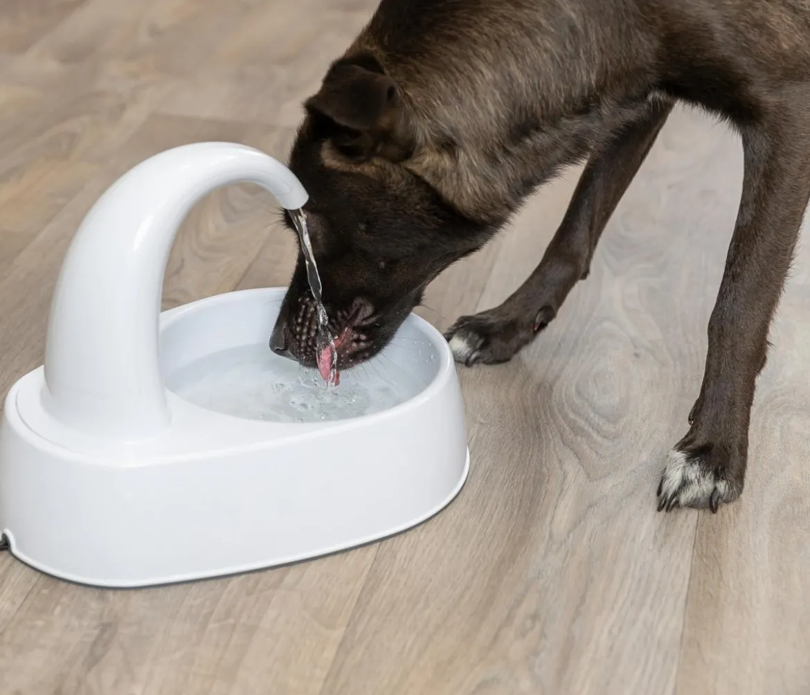 Trixie Trinkbrunnen Curved Stream, weiß, 2,5 l