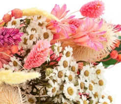 Trockenblumenbouquet Lights, pink