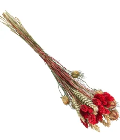 Trockenblumenbouquet Luna, rot