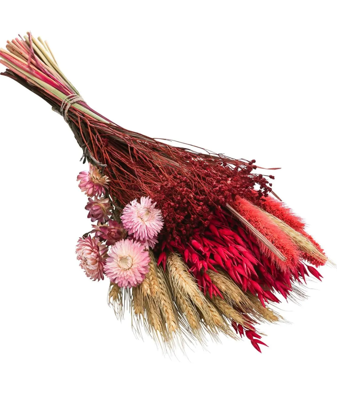 Trockenblumenbouquet Trendy, rosa