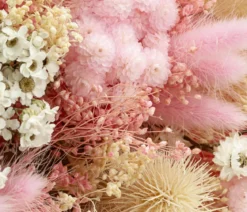Trockenblumenbouquet Wow, natur/pink