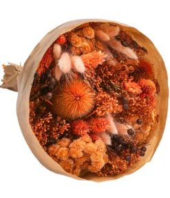 Trockenblumenbouquet Wow, terracotta