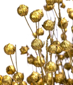 Trockenblumenbund Flachs, gold