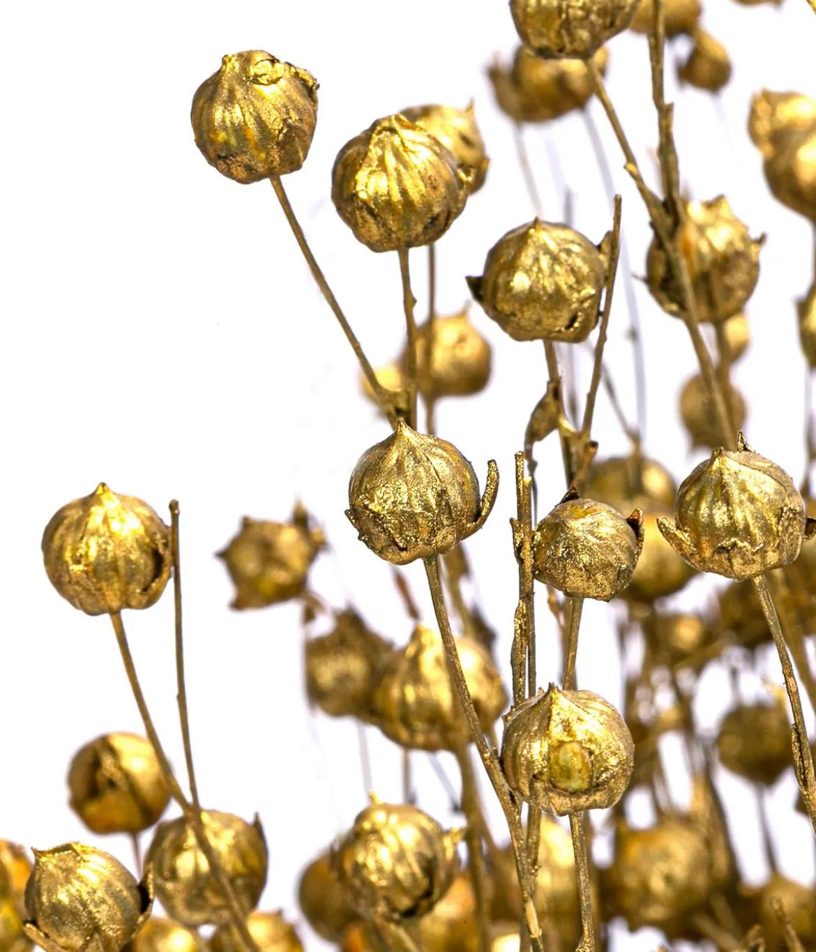 Trockenblumenbund Flachs, gold