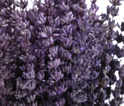 Trockenblumenbund Lavendel, 100g, ca. L45 cm