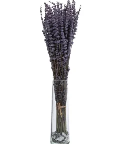 Trockenblumenbund Lavendel, 100g, ca. L45 cm