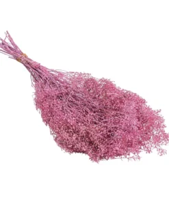 Trockenblumenbund Lupidium, hellrosa