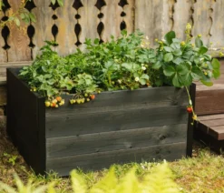 Upyard Holz-Hochbeet GardenBox I-Box, ca. B120/H40/T80 cm