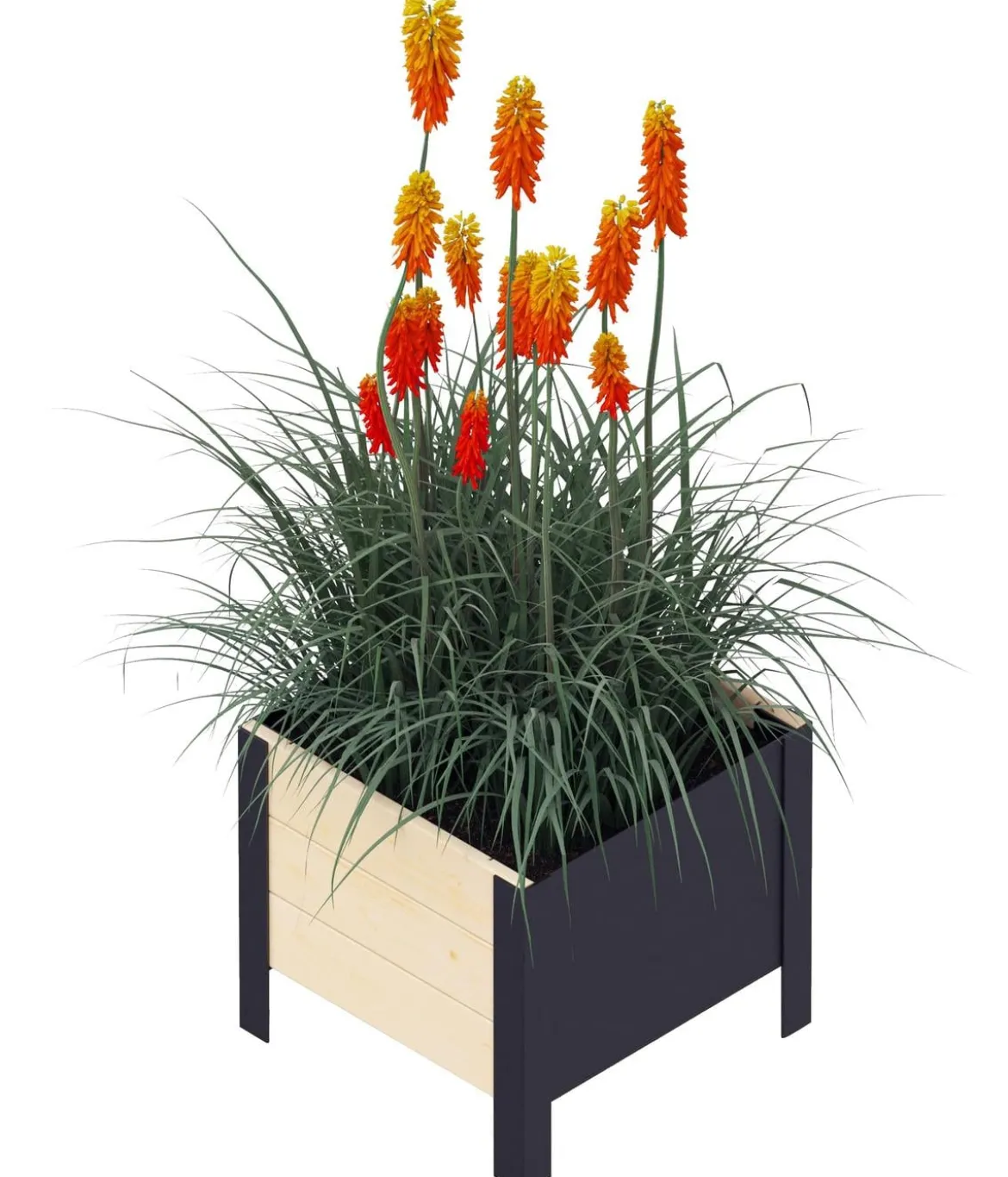 Upyard Holz-Pflanzkasten ModernBox, ca. B36/H32/T36 cm