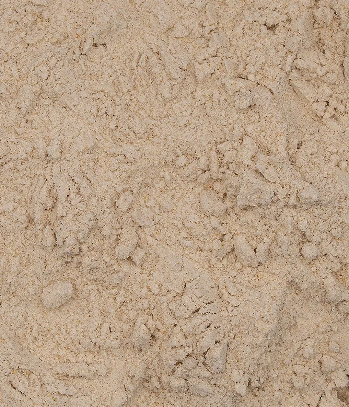Valetumed Ergänzungsfutter für Hunde Ingwer-Teufelskralle, 200 g