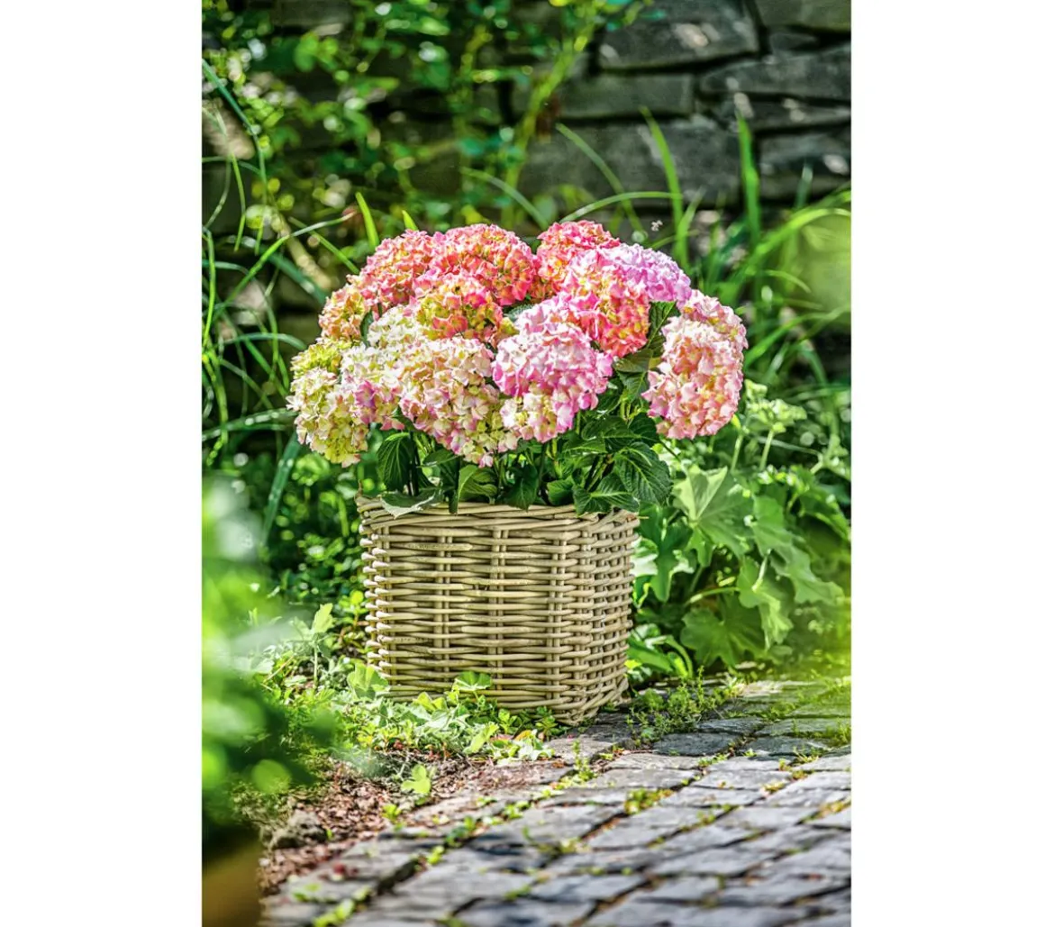 Van der Leeden Rattan-Topf, quadratisch, grau-braun