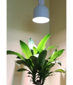 Venso Lampenschirm Saga für Pflanzenlampe