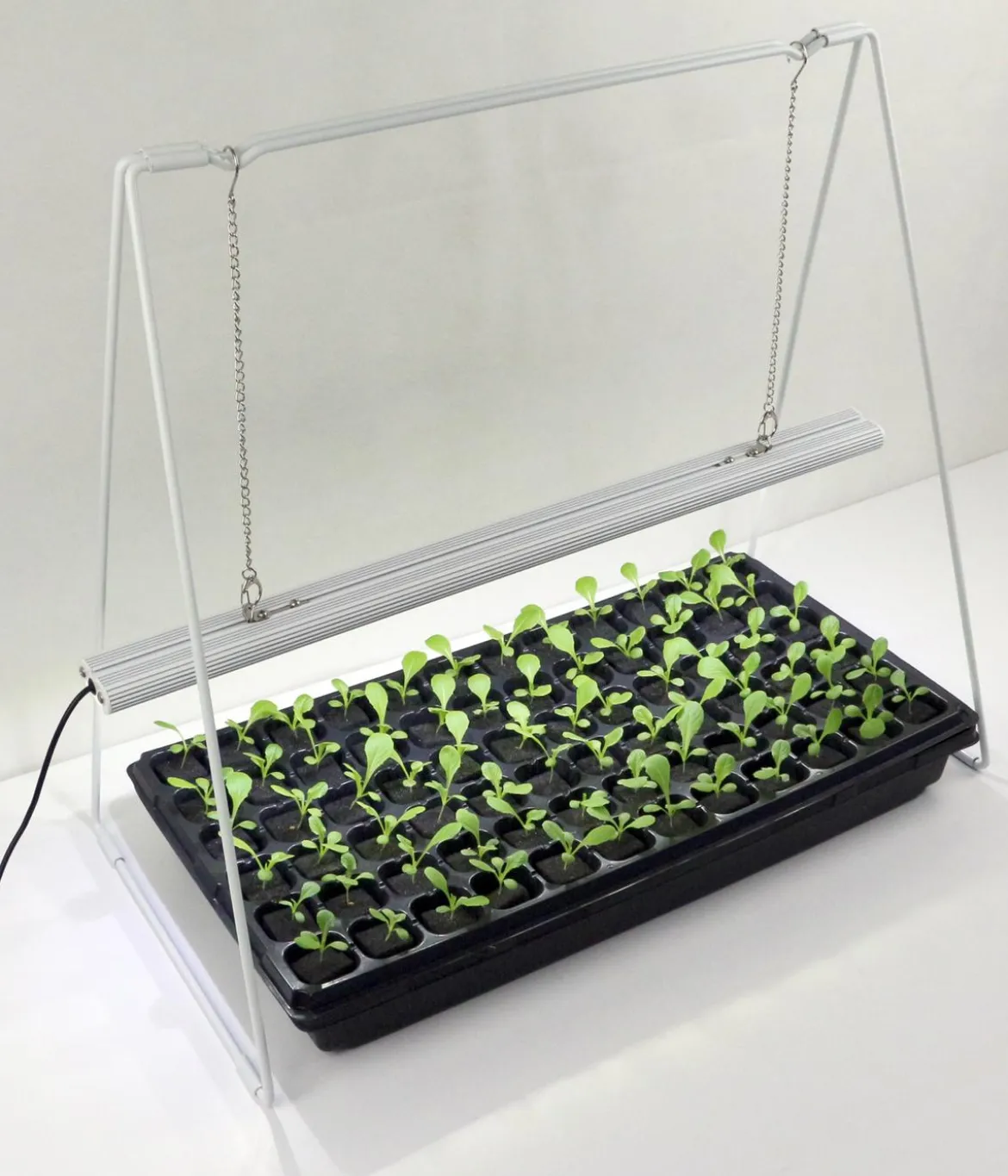 Venso LED-Anzuchtlampe GrowLight Duo