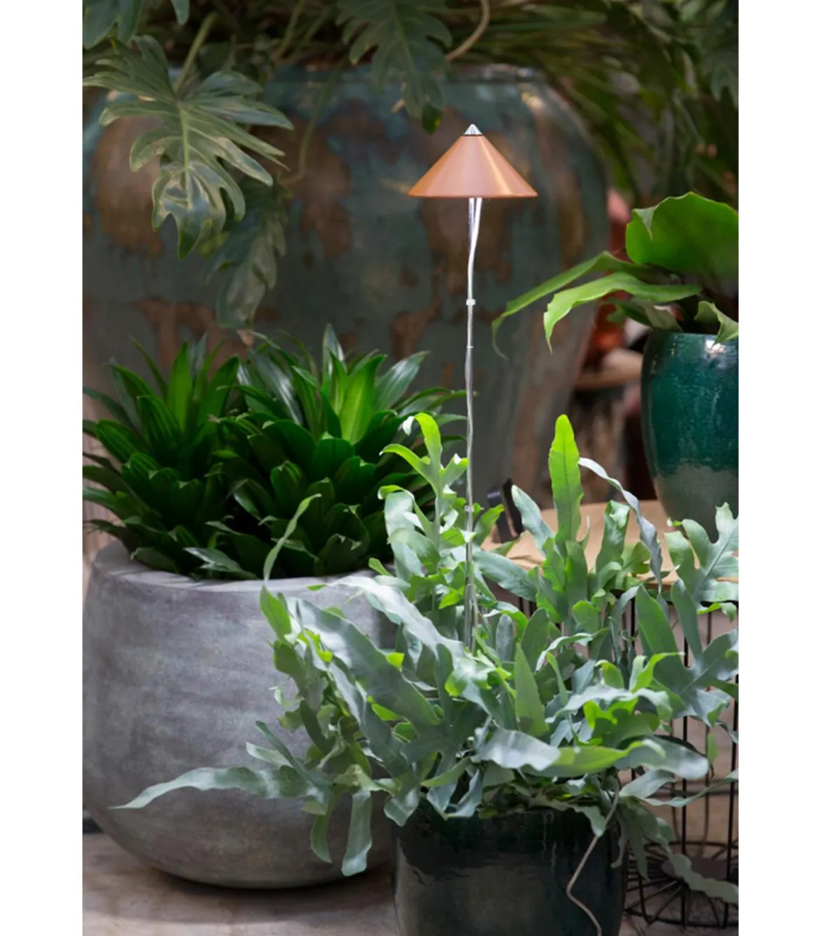 Venso LED-Pflanzenlampe