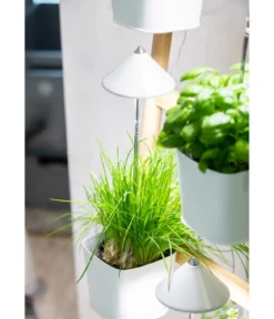 Venso LED-Pflanzenlampe