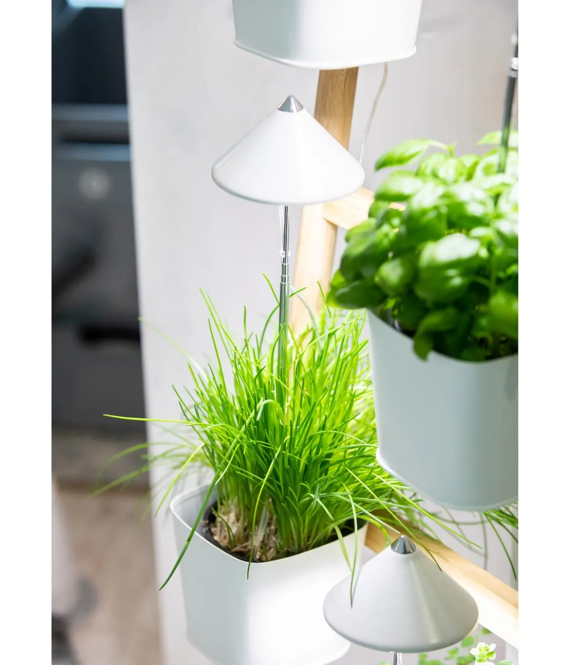 Venso LED-Pflanzenlampe
