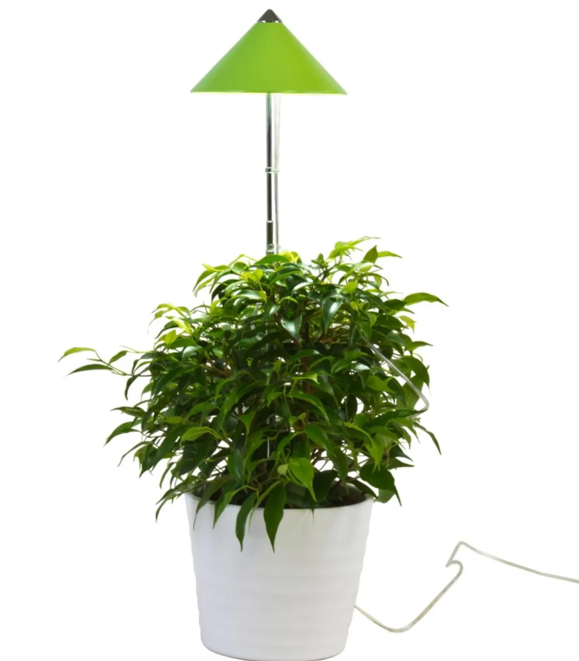Venso LED-Pflanzenlampe