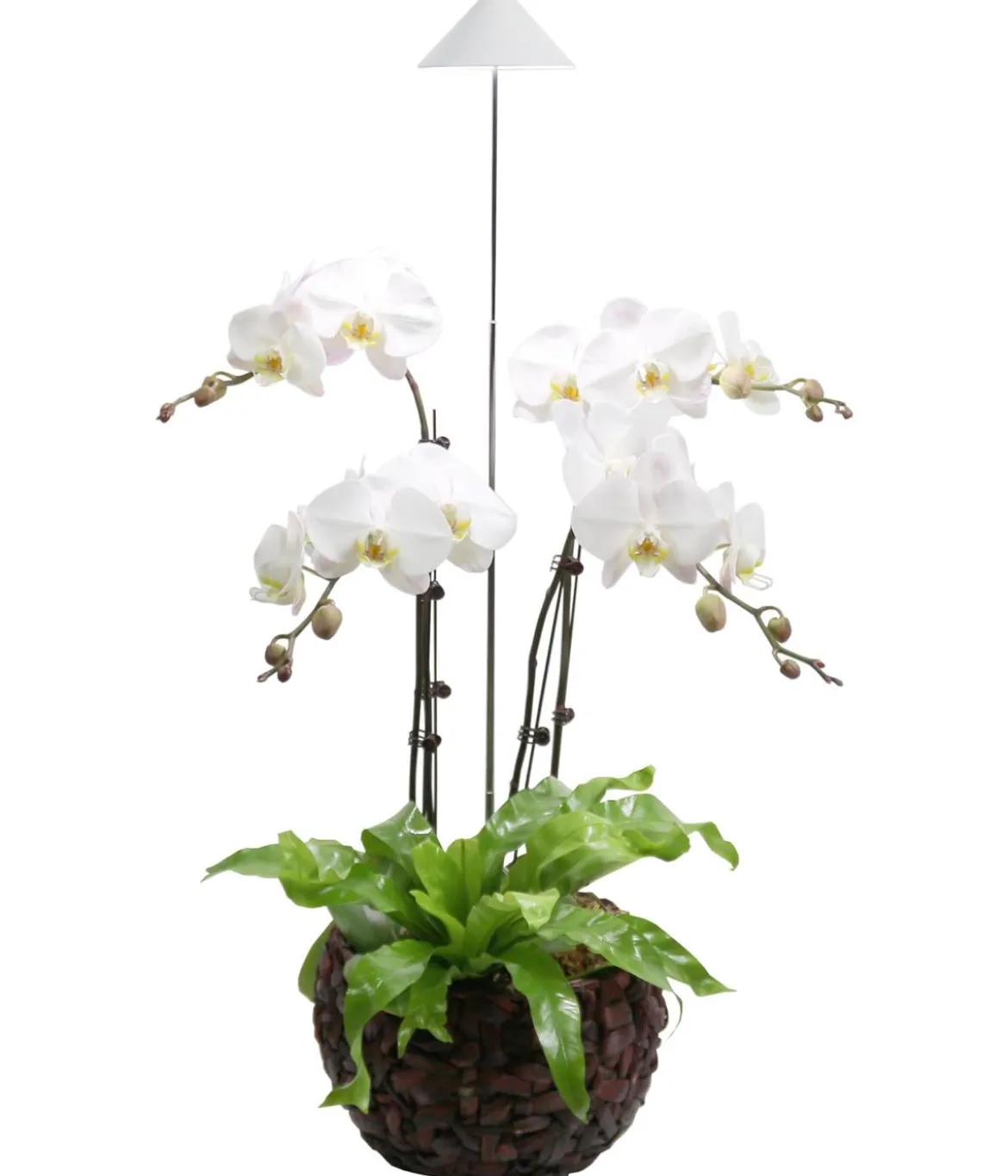 Venso LED-Pflanzenlampe
