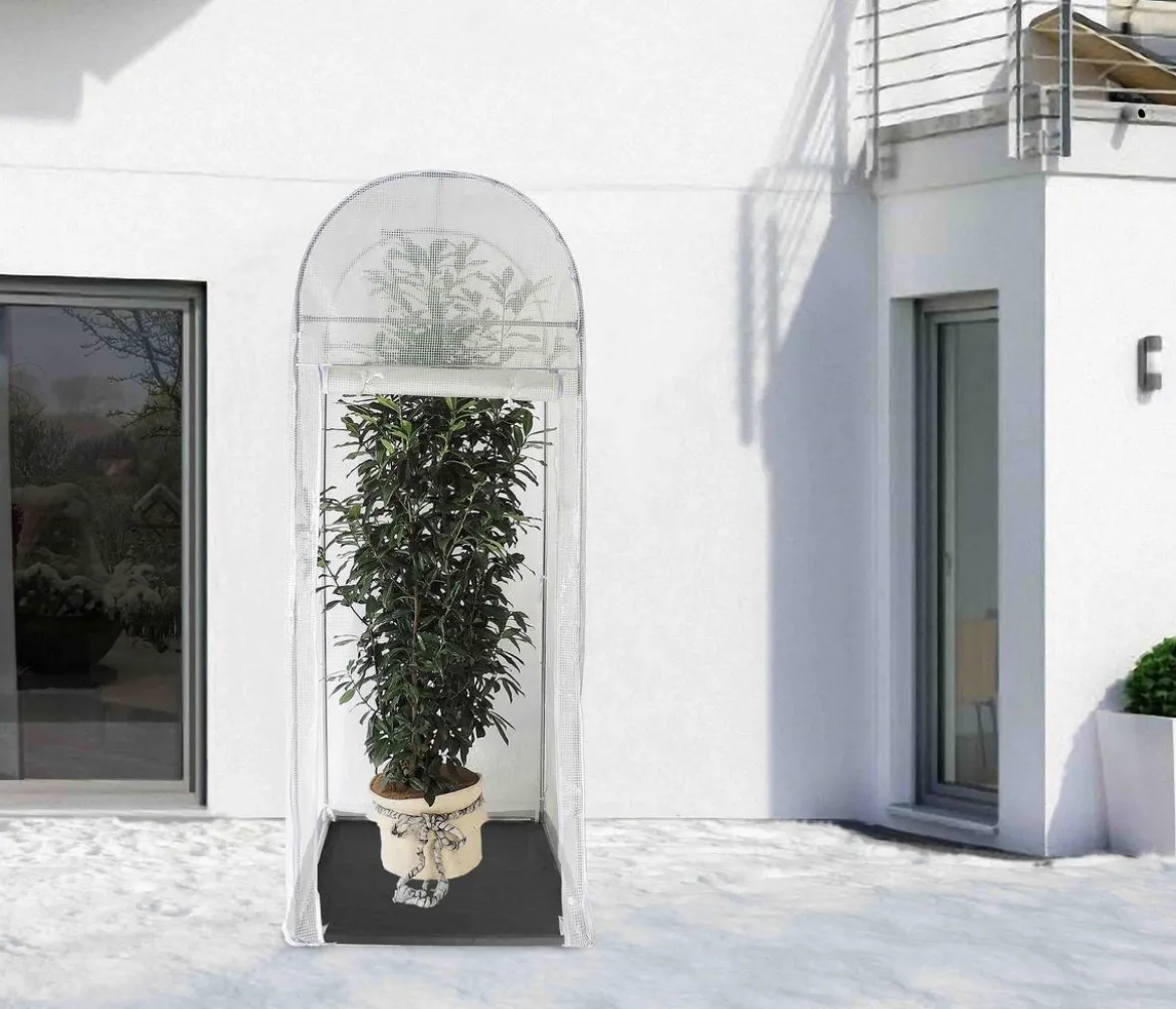 Videx Winterschutz Frost-Schutzhaus Palm Protect, ca. B100/H249/T100 cm