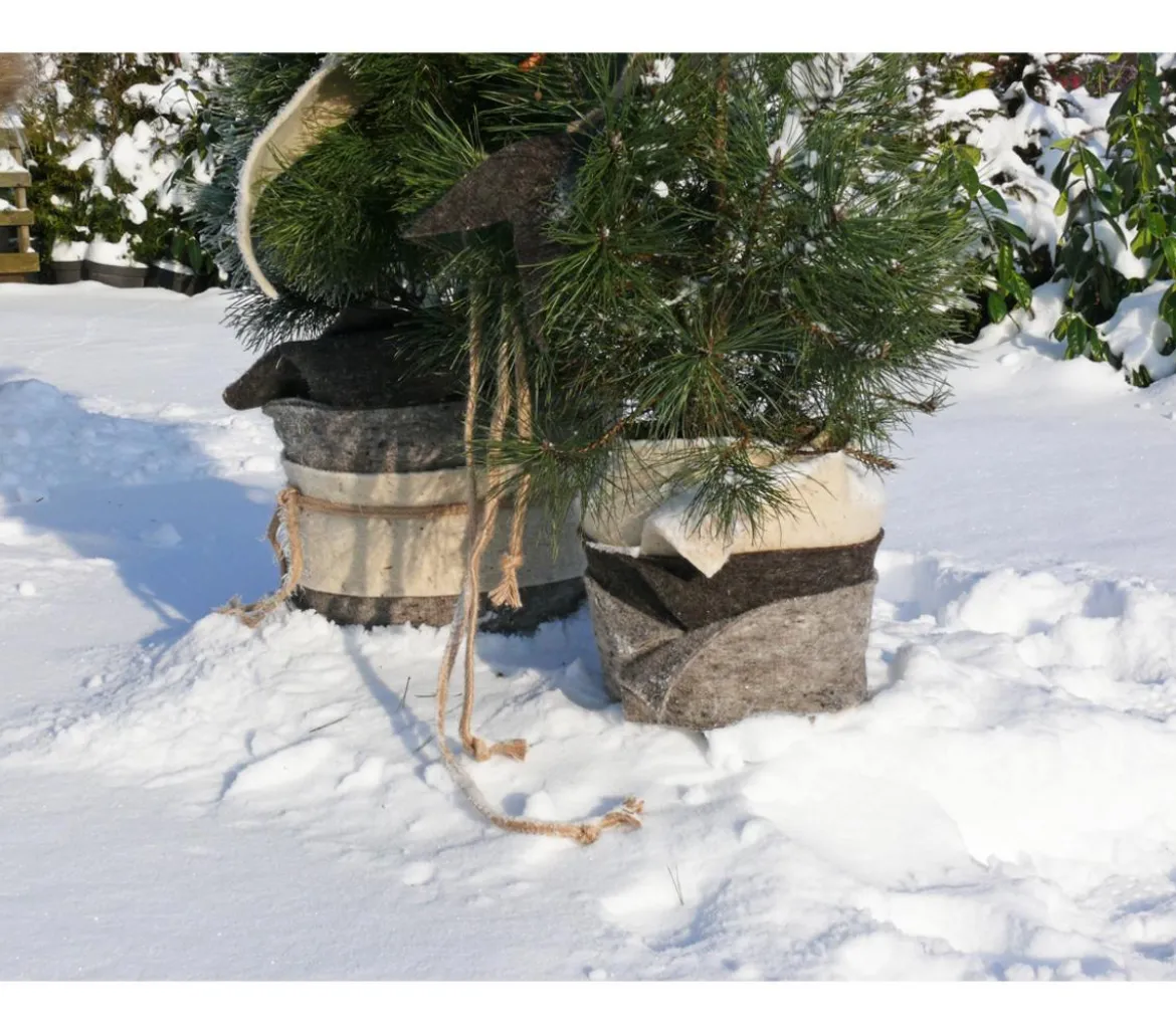 Videx Winterschutz Schafwoll-Wickelband, ca. L200/B12 cm