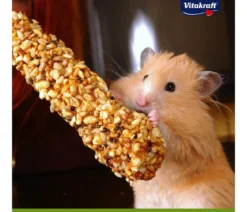 Vitakraft® Kräcker® Original + Honig & Dinkel für Hamster, 2er Pack