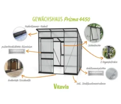 Vitavia Gewächshaus Prisma 4450 HKP, inkl. Stahlfundamentrahmen