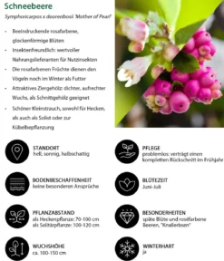 Vogelschutzhecke Fink, 4-teilig