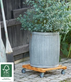 Wagner Pflanzroller Massivholz, lackiert, ca. B38/H9,5/T38 cm