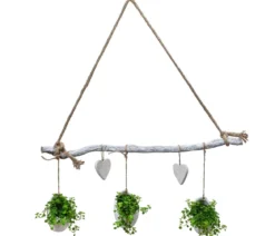 Wandhänger Herz mit Peperomie - Peperomia rotundifolia, weiß