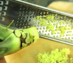 Wasabi