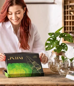 Waterplant-Set in Reagenzgläsern, 3-teilig
