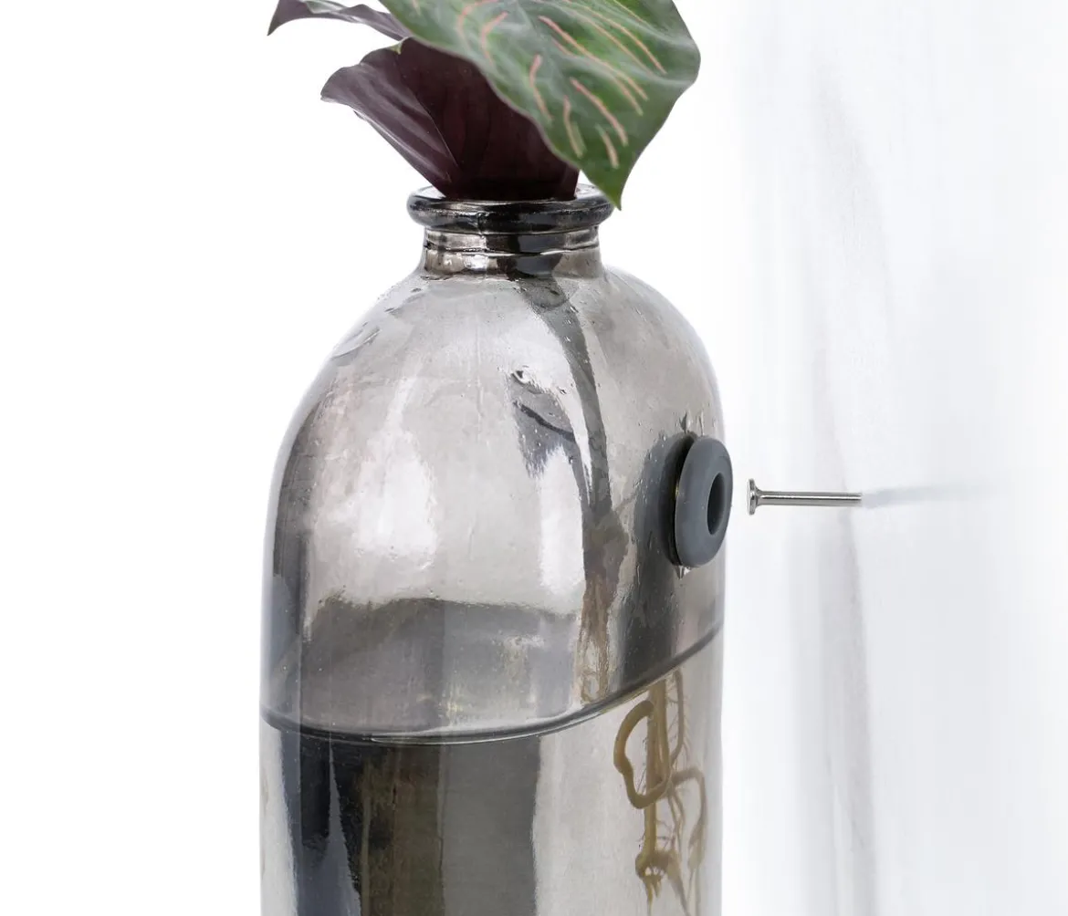 Waterplant-Set Wandhänger, 2-teilig