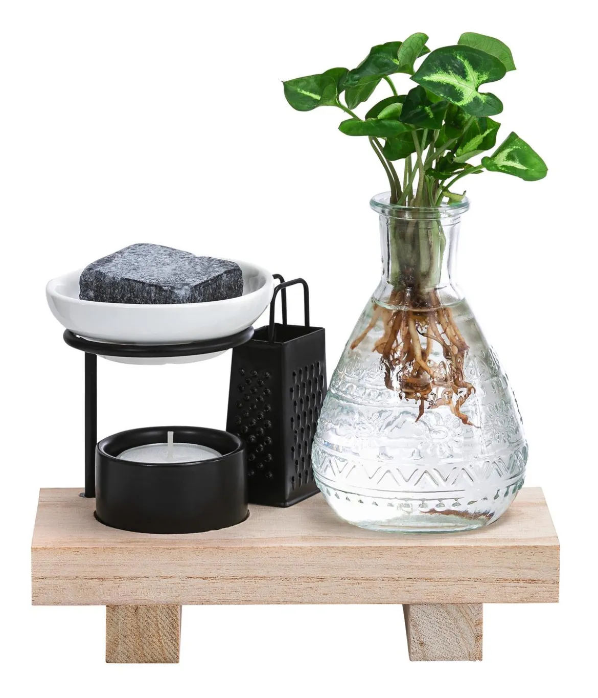 Waterplant-Set Wellness in Glasflasche - Syngonium podophyllum 'Pixie'