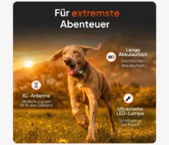 Weenect XT GPS-Tracker für Hunde inkl. JK9 Halsband