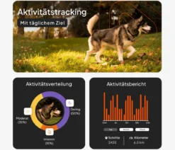 Weenect XT GPS-Tracker für Hunde