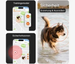 Weenect XT GPS-Tracker für Hunde