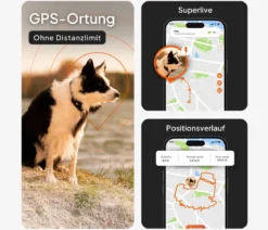 Weenect XT GPS-Tracker für Hunde