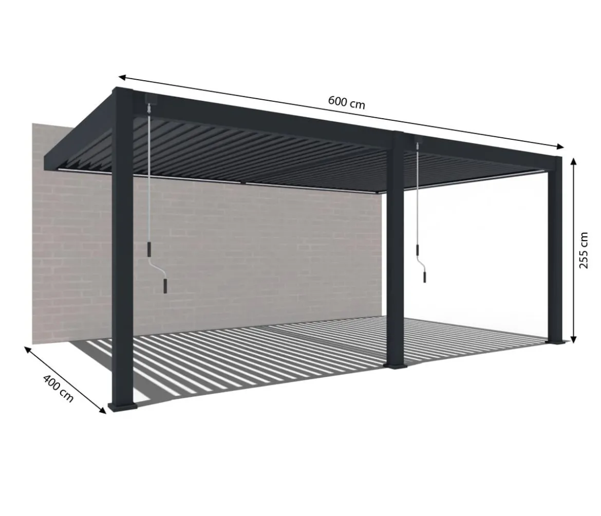 Weide Wand-Pergola Deluxe Plus 4x6, ca. B600/H255/T400 cm