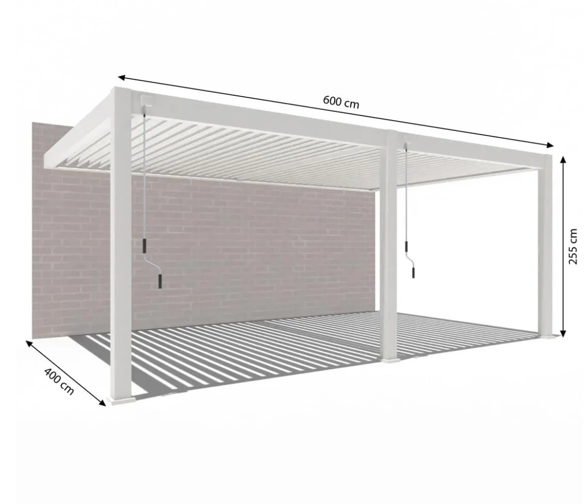 Weide Wand-Pergola Deluxe Plus 4x6, ca. B600/H255/T400 cm