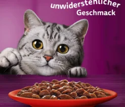 Whiskas® Nassfutter für Katzen Multipack Jumbo Klassische Auswahl in Sauce, Adult, 80 x 85 g