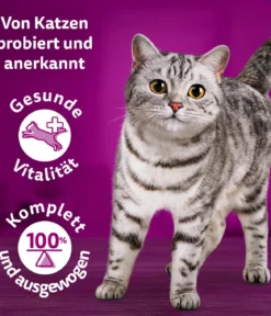 Whiskas® Nassfutter für Katzen Multipack Tasty Mix Chef's Choice in Sauce, Adult, 12 x 85 g
