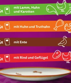 Whiskas® Nassfutter für Katzen Multipack Tasty Mix Country Collection in Sauce, Adult