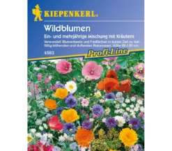 Wildblumen mit Kräutern Mix, Saatgut von Kiepenkerl