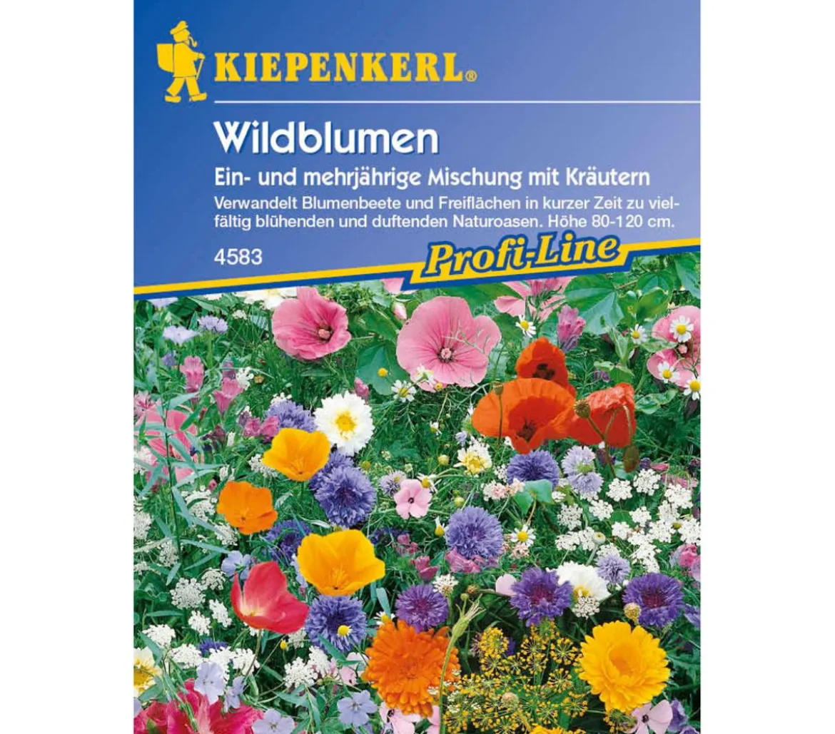 Wildblumen mit Kräutern Mix, Saatgut von Kiepenkerl