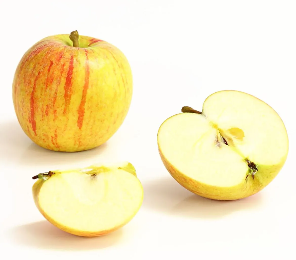 Winterapfel 'Cox Orange'