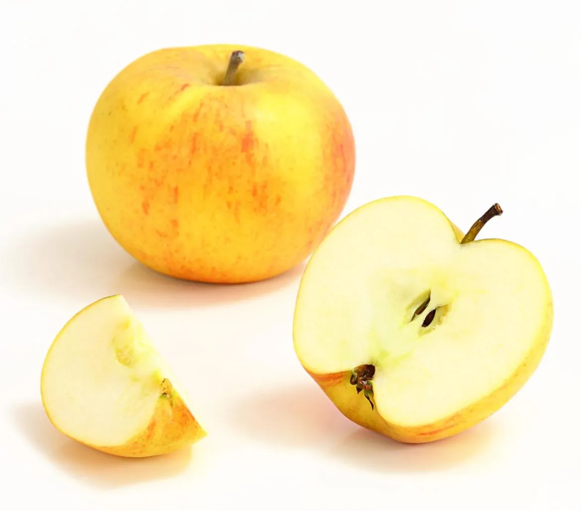 Winterapfel 'Goldparmäne'