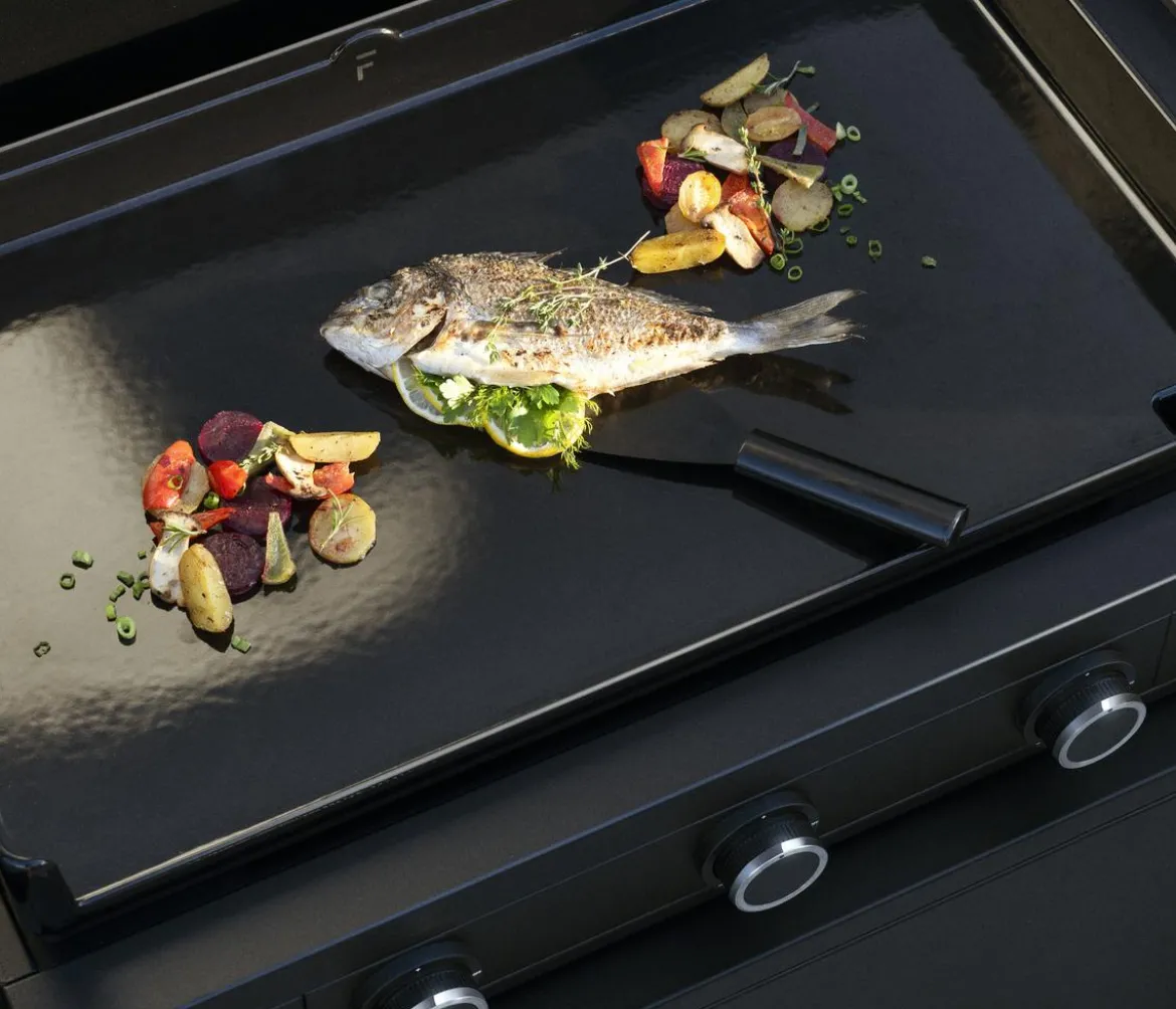 WMF Plancha Set 45E, ca. B50/H24,5/T63 cm