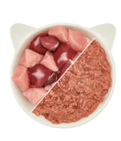 WOW® Cat Nassfutter für Katzen Premium Paté Junior, 12 x 125 g