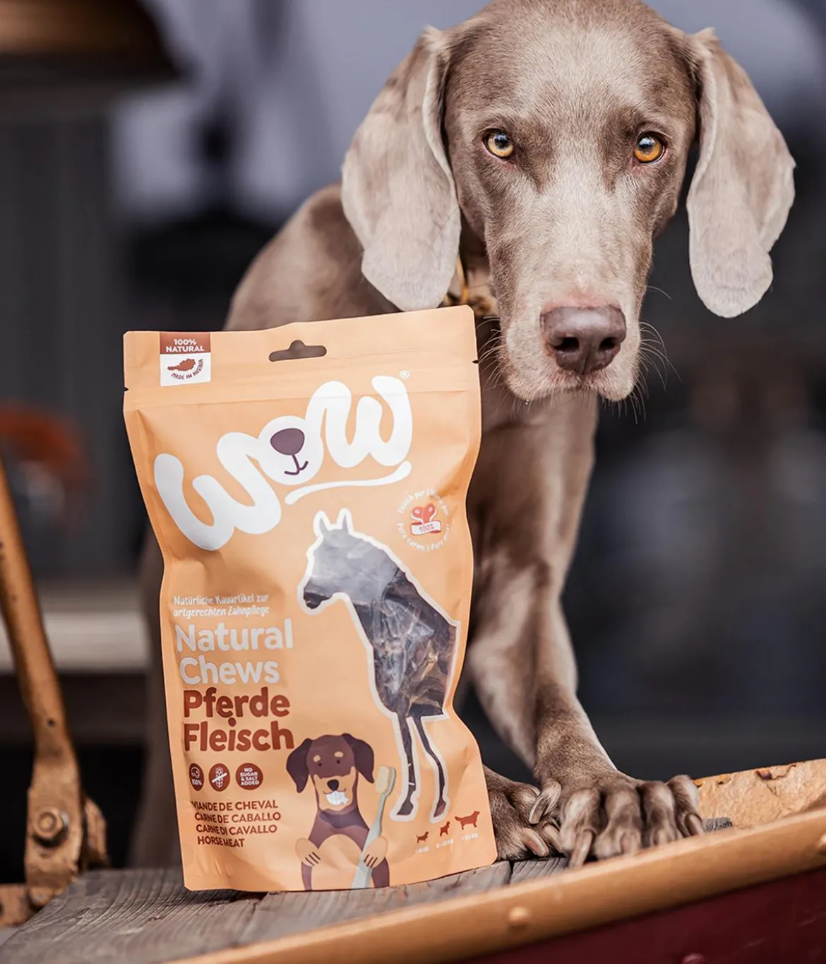 WOW® Hundesnack Natural Chews Pferdefleisch, Adult, 250 g