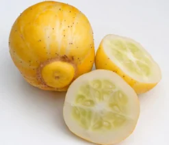 Zitronengurke